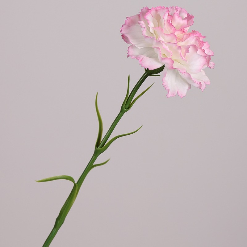 Realistic Touch Moisturizing Carnation