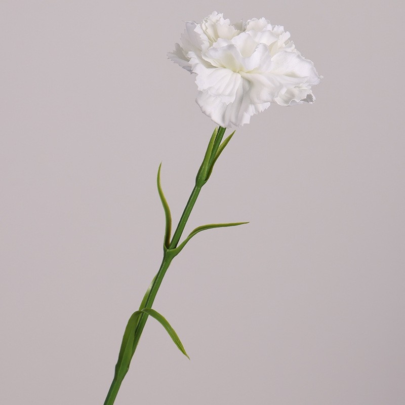Realistic Touch Moisturizing Carnation