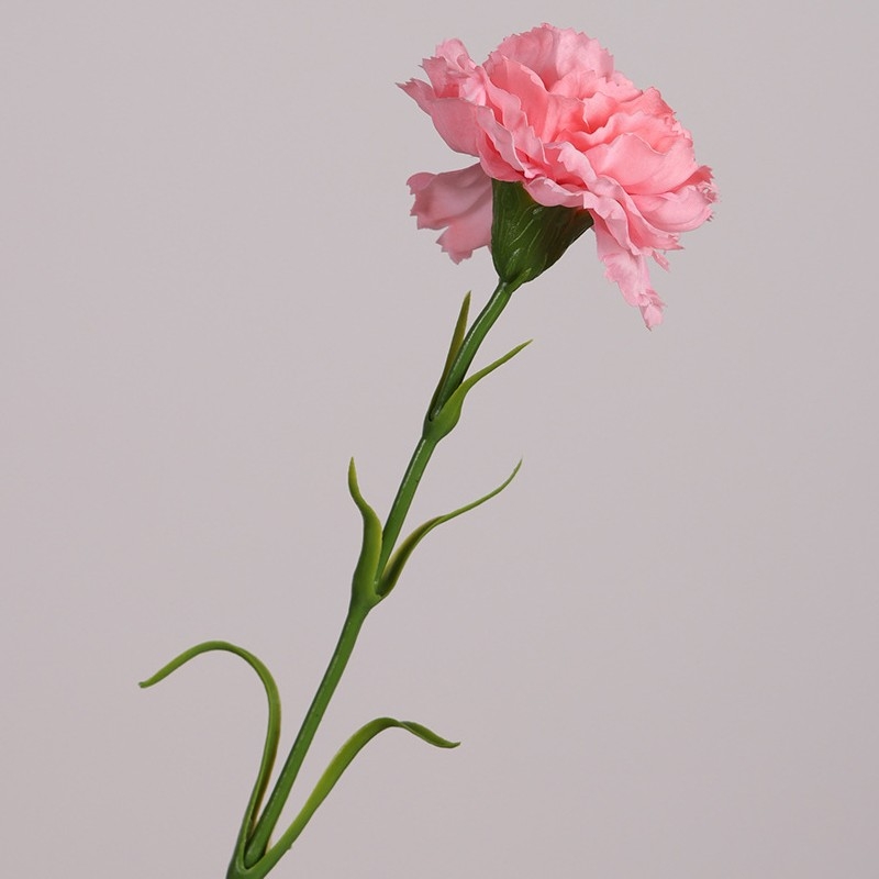 Realistic Touch Moisturizing Carnation