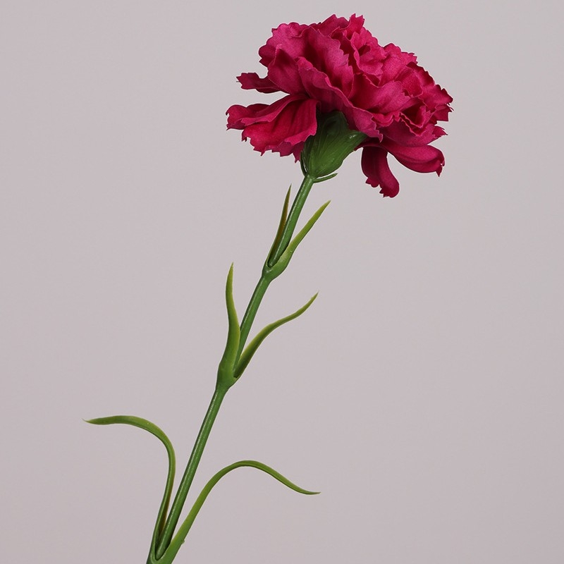 Realistic Touch Moisturizing Carnation
