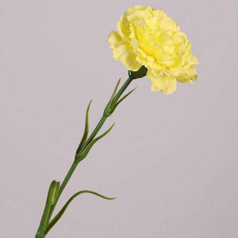 Realistic Touch Moisturizing Carnation