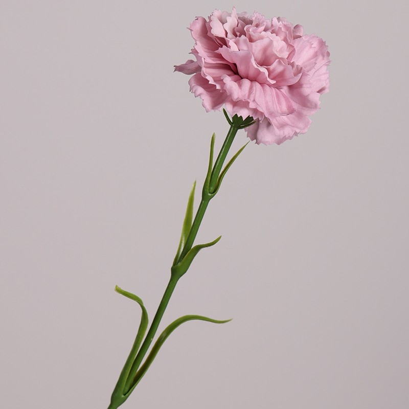Realistic Touch Moisturizing Carnation