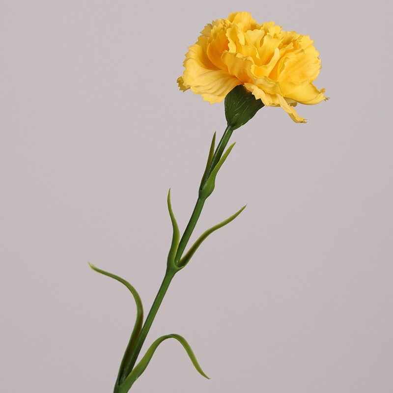Realistic Touch Moisturizing Carnation