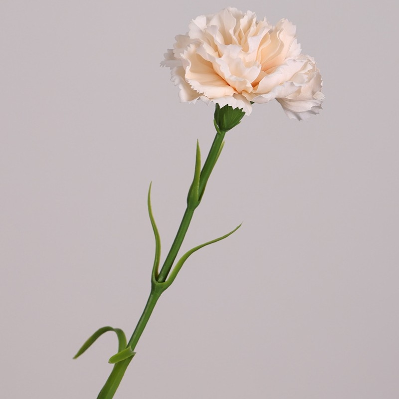 Realistic Touch Moisturizing Carnation
