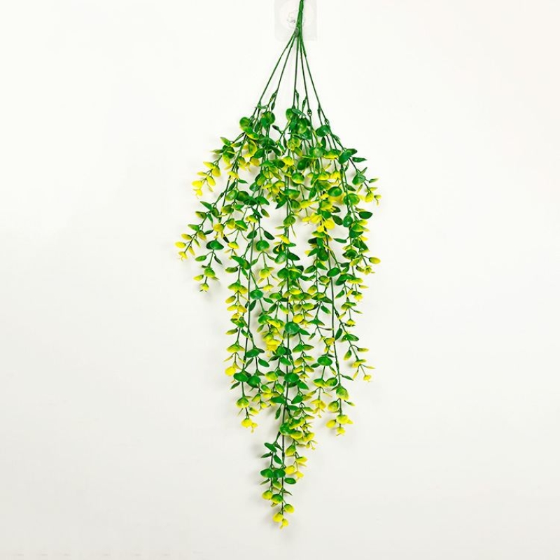 Eucalyptus shaped like fake vines