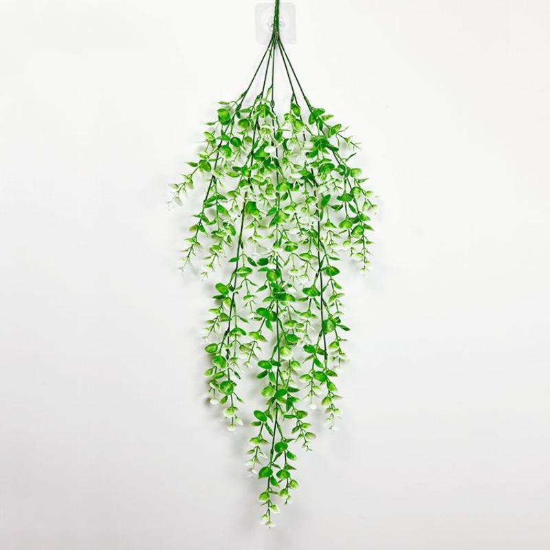 Eucalyptus shaped like fake vines