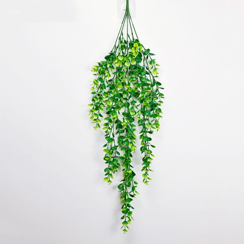 Eucalyptus shaped like fake vines