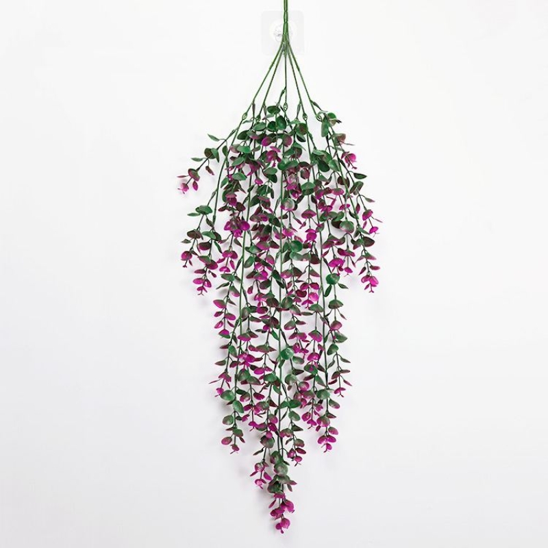 Eucalyptus shaped like fake vines