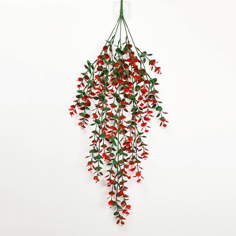 Eucalyptus shaped like fake vines