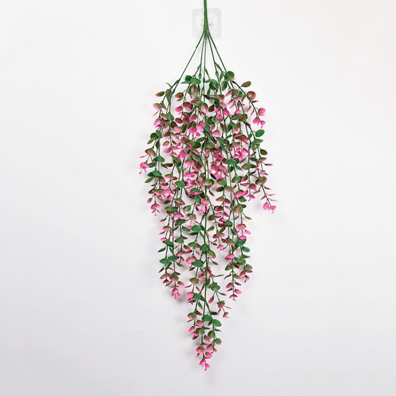 Eucalyptus shaped like fake vines