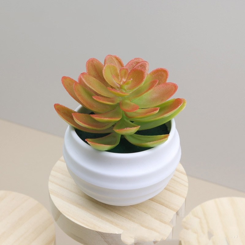 Fake succulent little lotus potted plant
