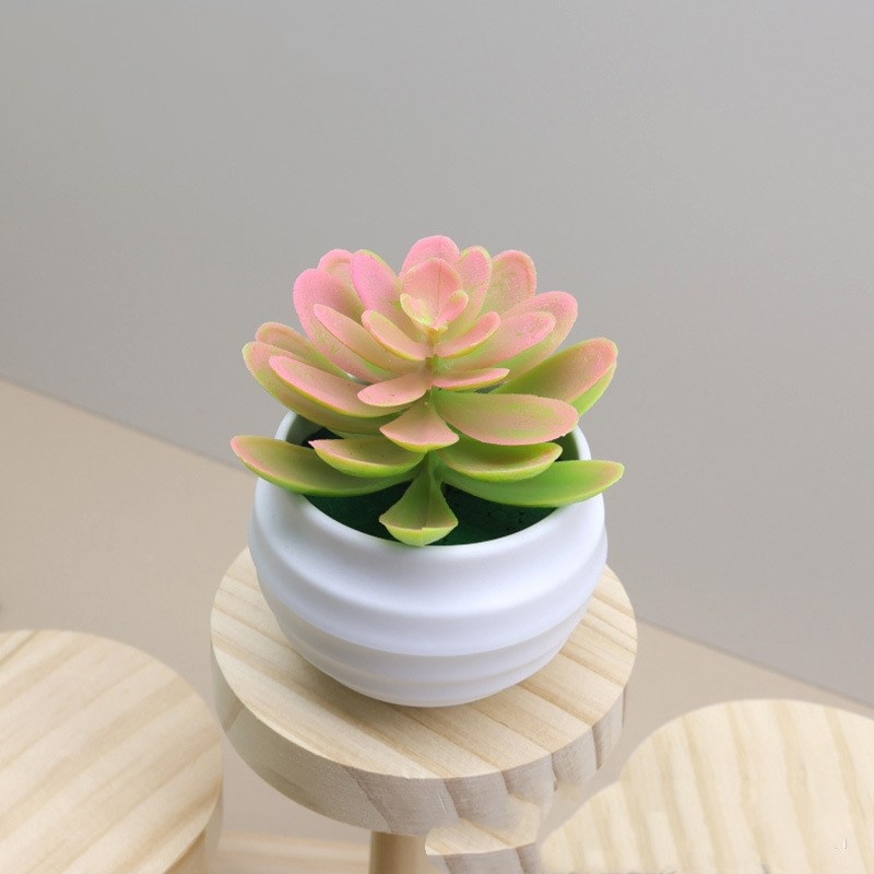Fake succulent little lotus potted plant