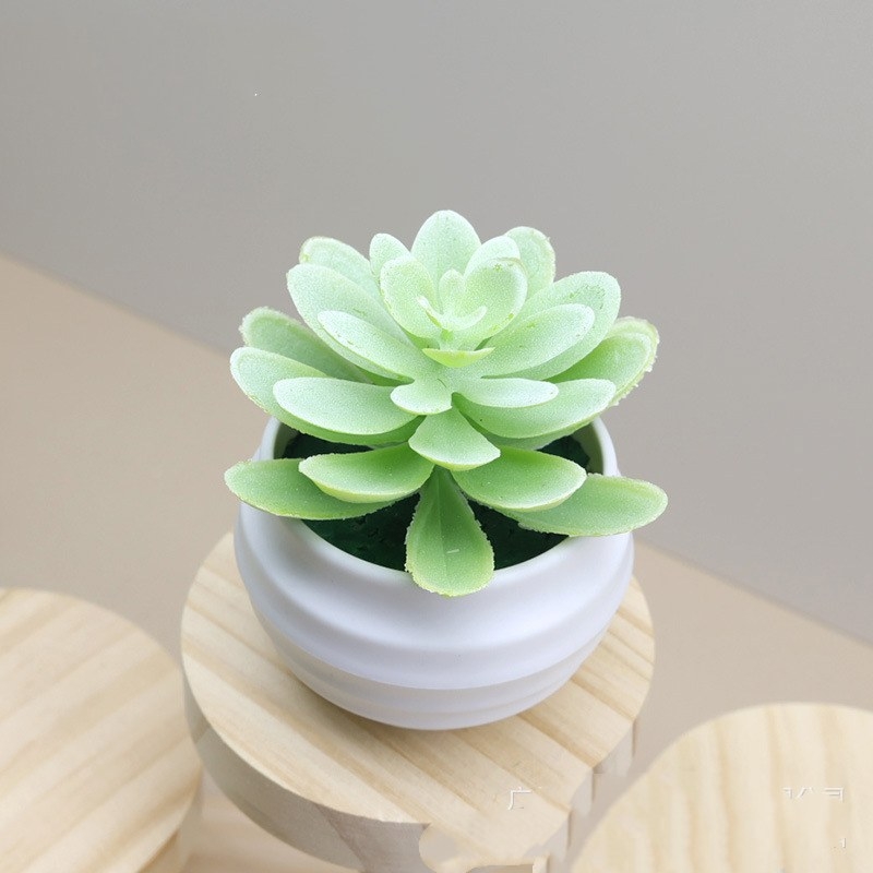 Fake succulent little lotus potted plant