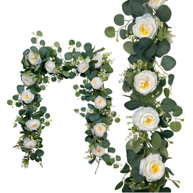 Camellia vine