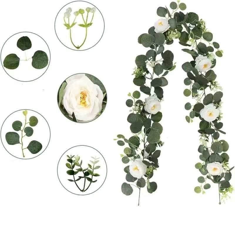 Camellia vine