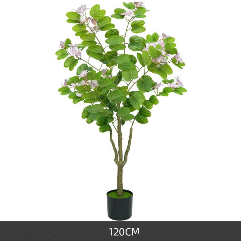 Simulated 120-200cm Purple Bauhinia Potted Plants