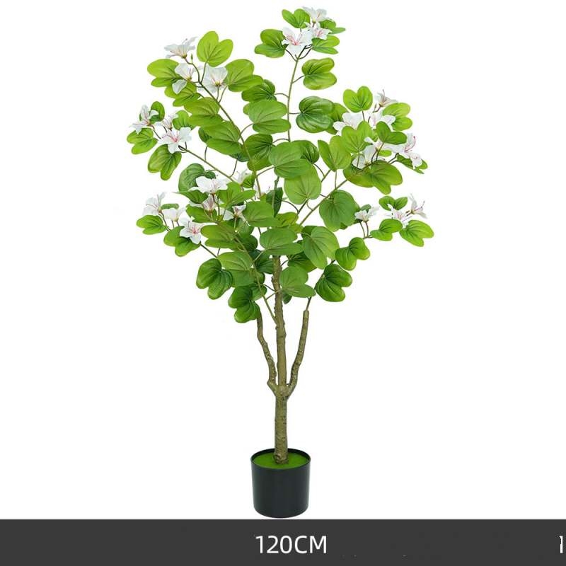 Simulated 120-200cm White Bauhinia Potted Plants