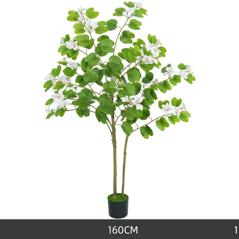 Simulated 120-200cm White Bauhinia Potted Plants