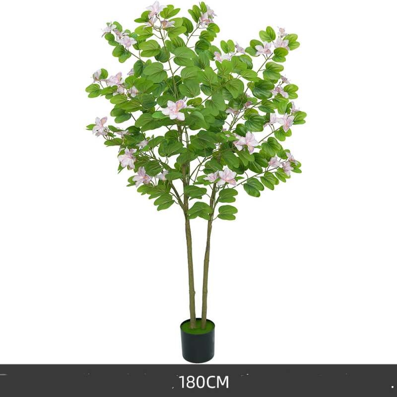 Simulated 120-200cm Purple Bauhinia Potted Plants