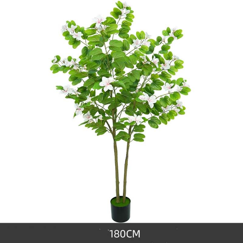 Simulated 120-200cm White Bauhinia Potted Plants