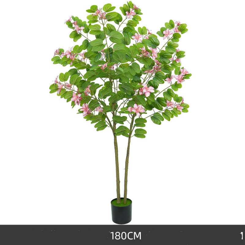 Simulated 120-200cm Pink Bauhinia Potted Plants