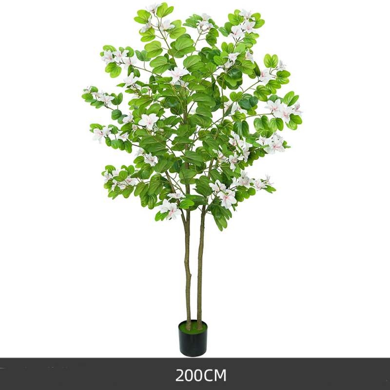 Simulated 120-200cm White Bauhinia Potted Plants