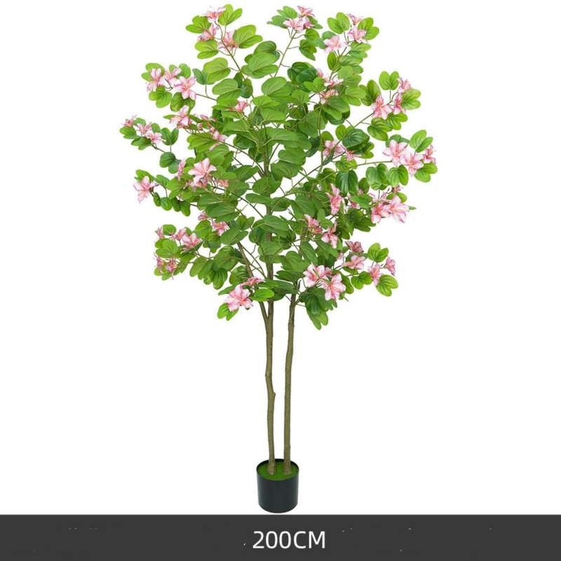 Simulated 120-200cm Pink Bauhinia Potted Plants