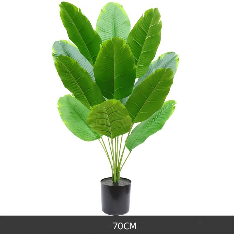 70-90cm banana leaf potted plant