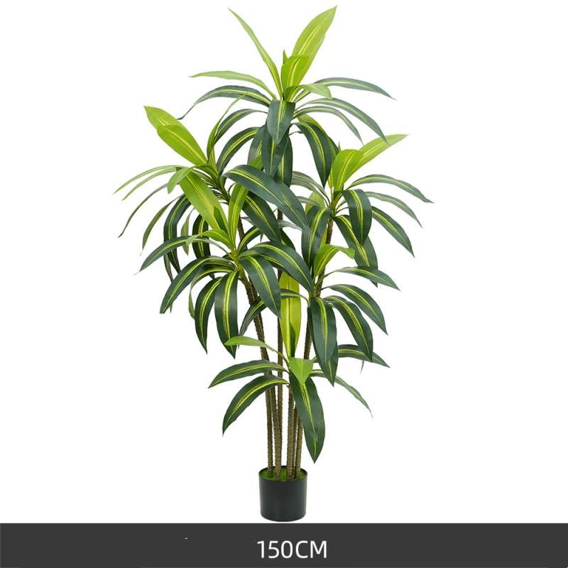 130 to 180cm Artificial Dracaena