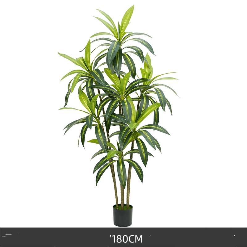 130 to 180cm Artificial Dracaena
