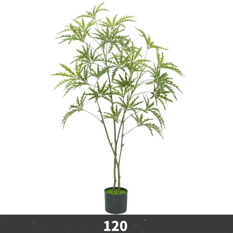 120 to 175cm Artificial False Aralia