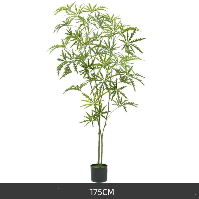 120 to 175cm Artificial False Aralia