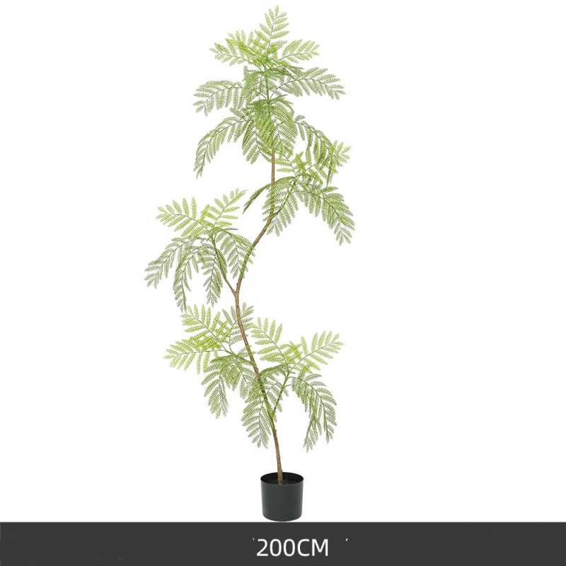 110cm to 200cm Artificial Jacaranda Plant