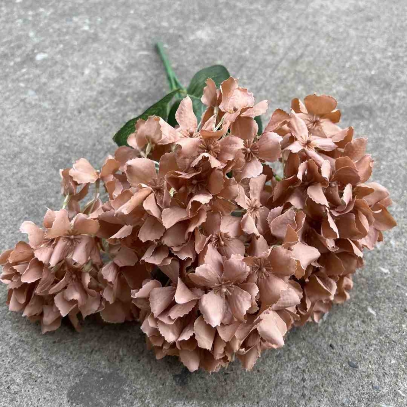 Silk hydrangea