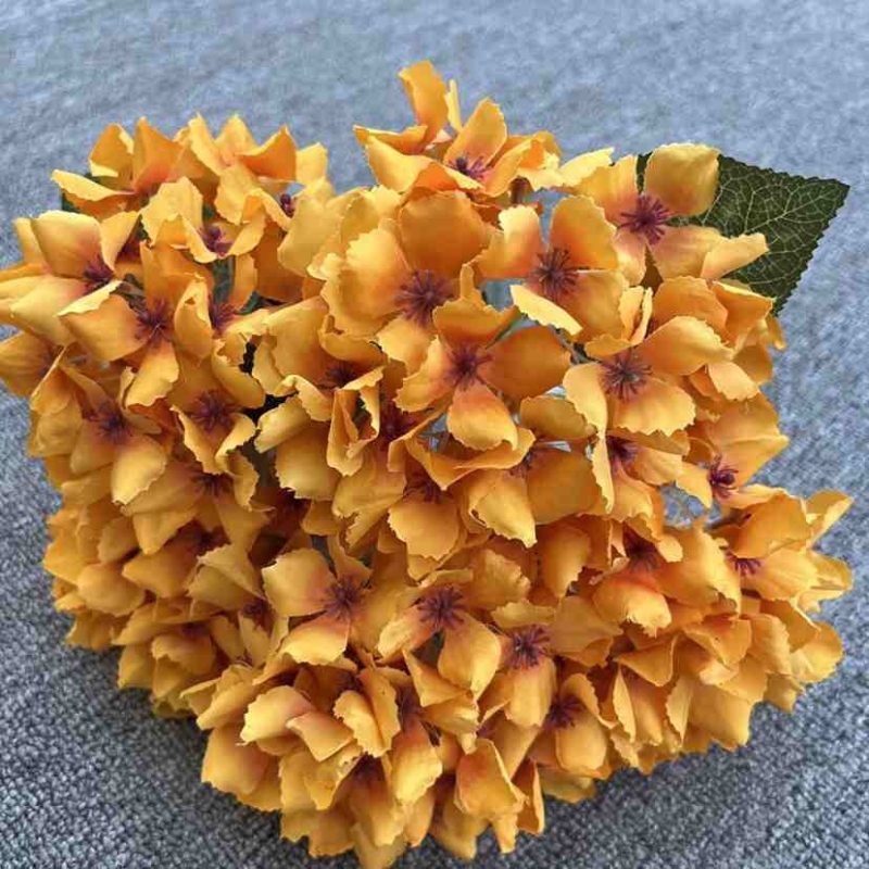 Silk hydrangea