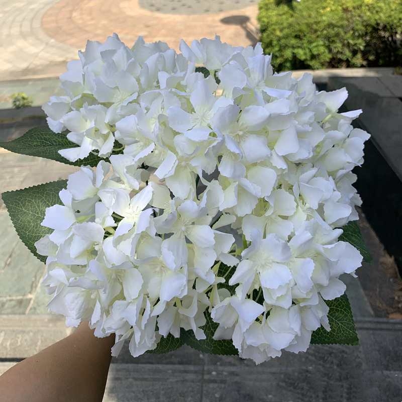 Silk hydrangea