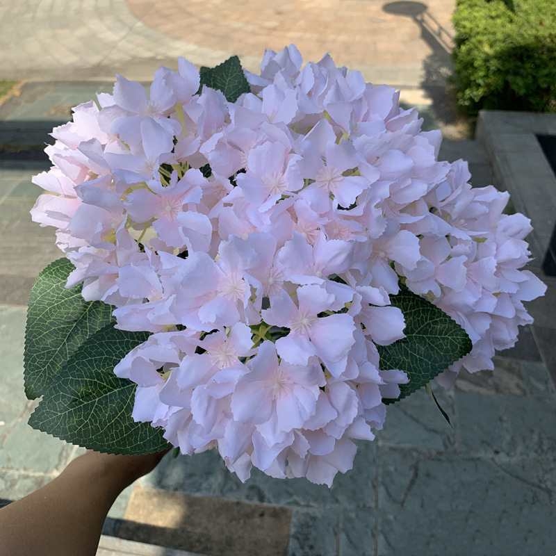 Silk hydrangea