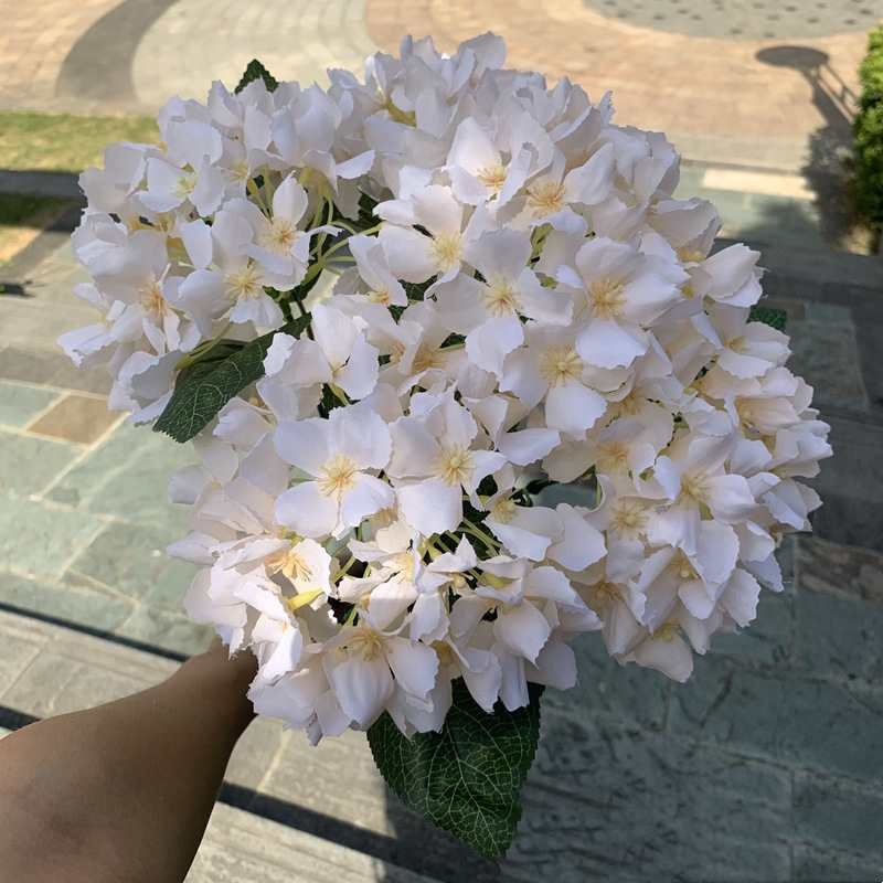Silk hydrangea
