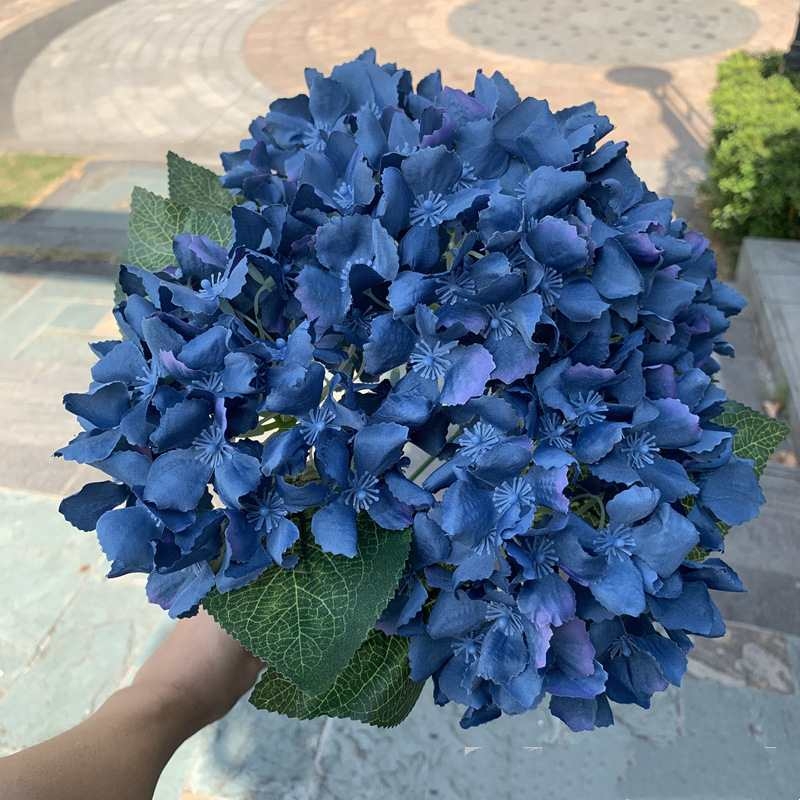 Silk hydrangea