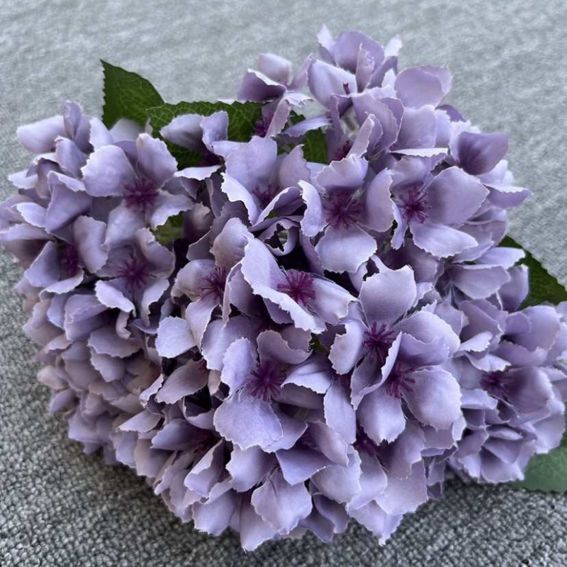 Silk hydrangea