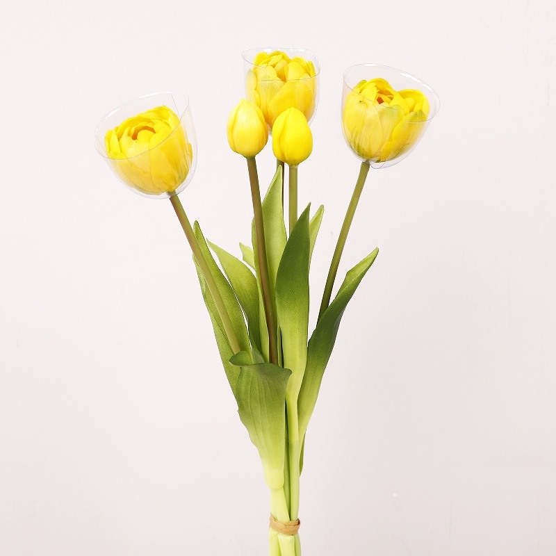 Soft silicome tulips