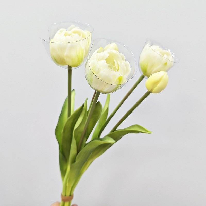 Soft silicome tulips