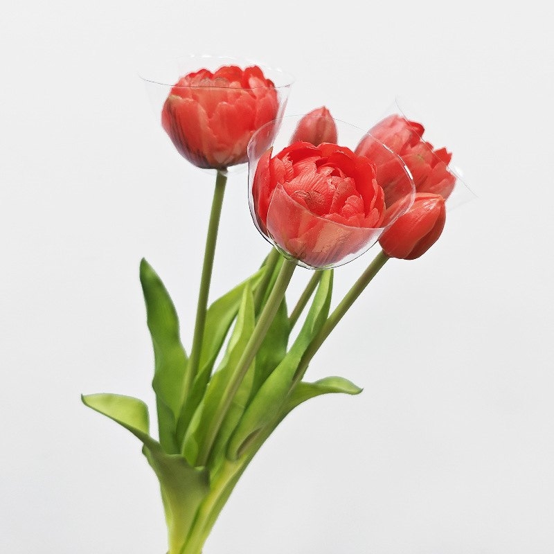 Soft silicome tulips