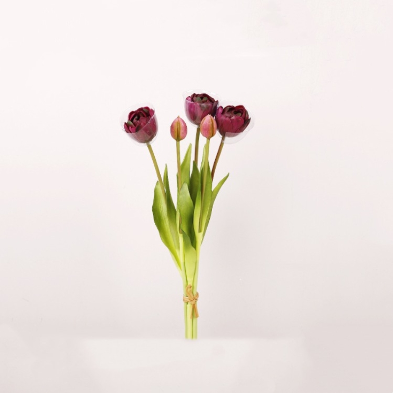 Soft silicome tulips