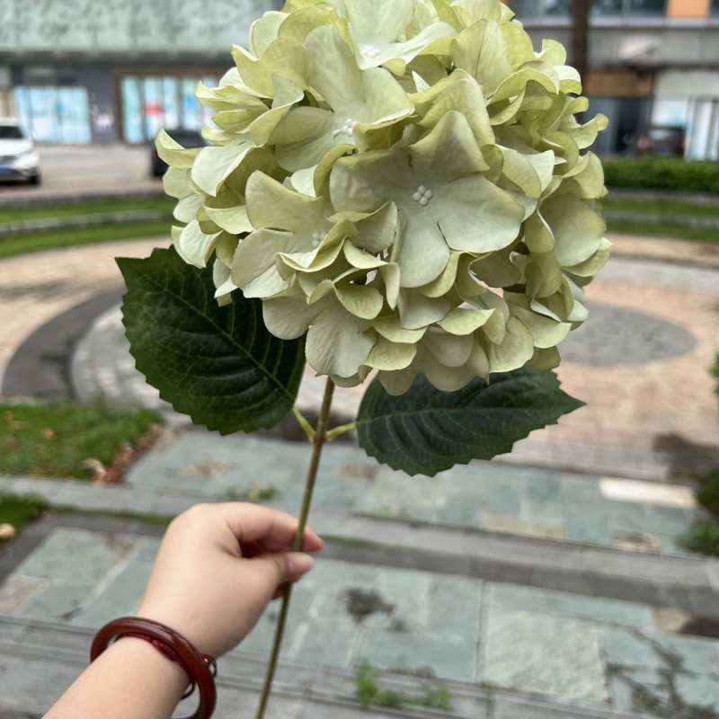 Silk hydrangea flowers
