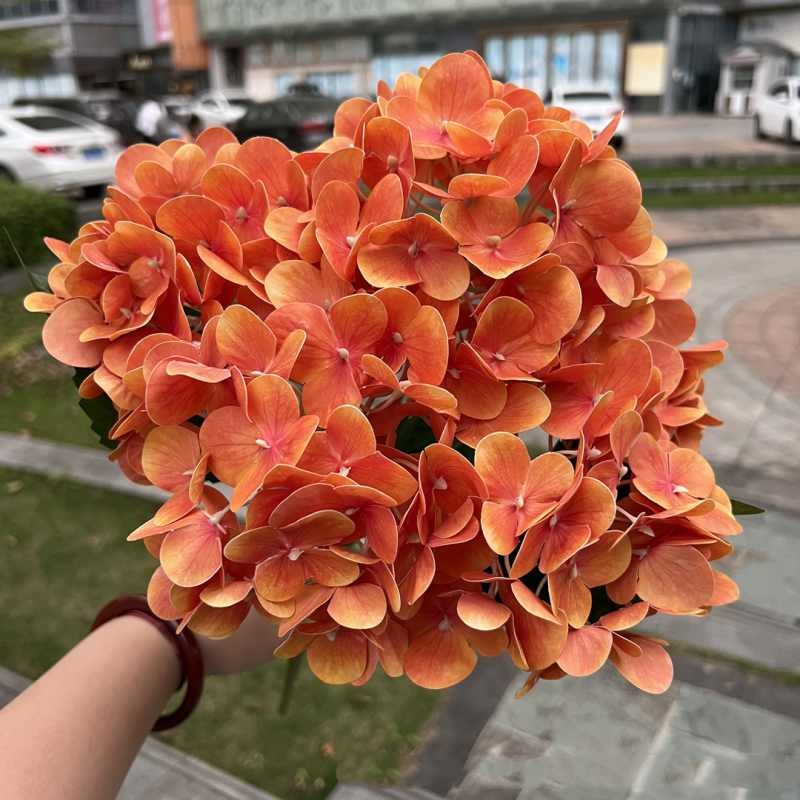 Soft-touch film hydrangea