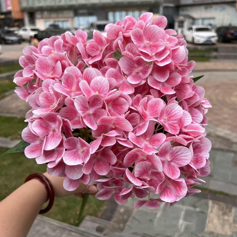 Soft-touch film hydrangea