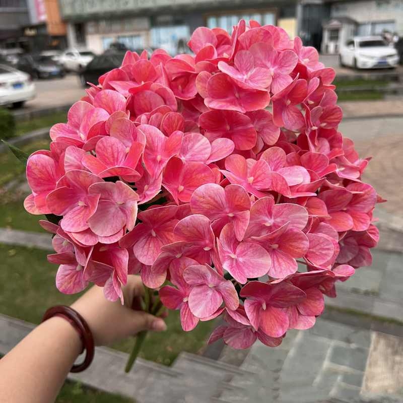 Soft-touch film hydrangea