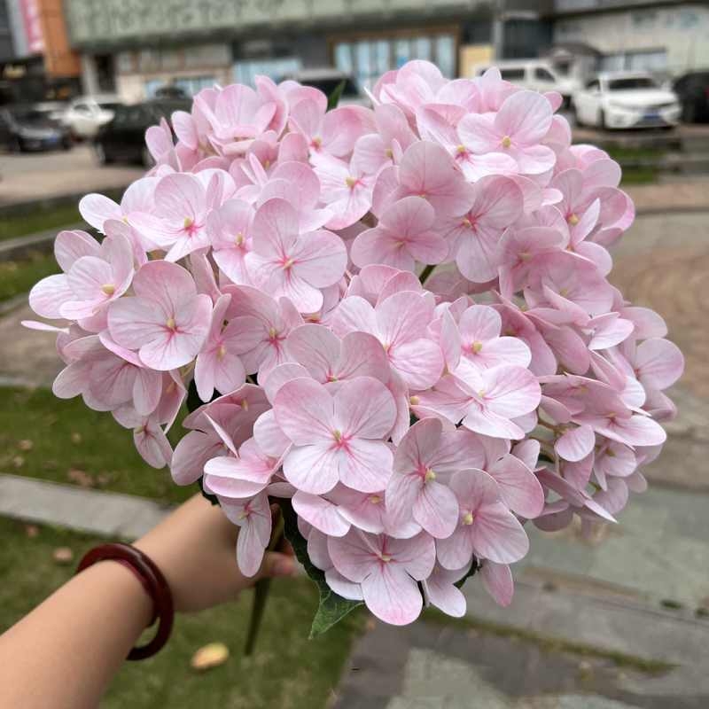Soft-touch film hydrangea