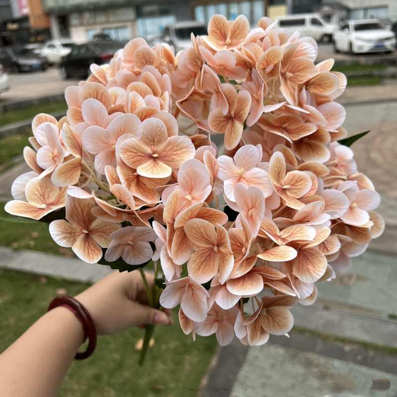 Soft-touch film hydrangea